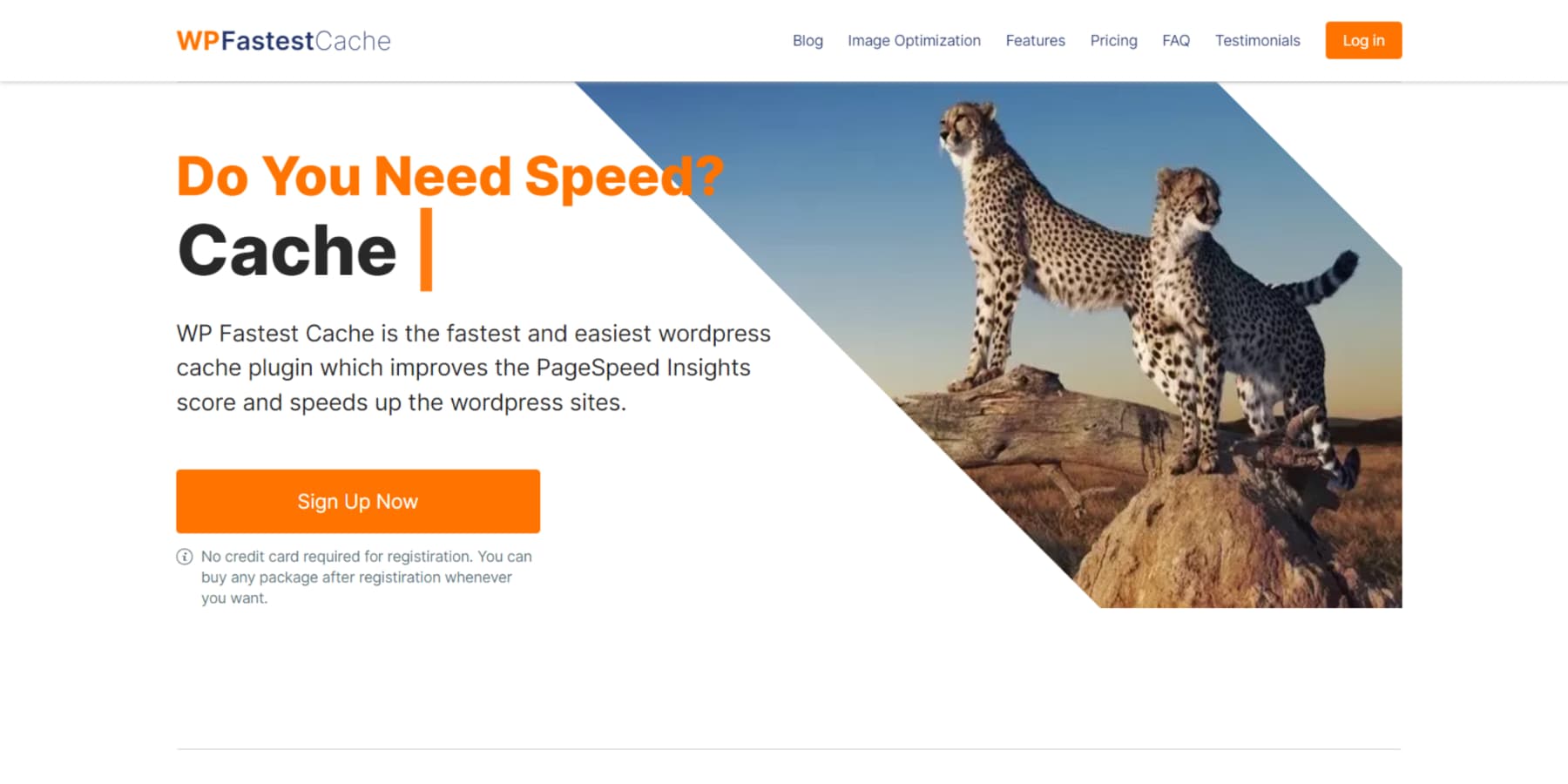 A screenshot of WP Fastest Cache's Home Page